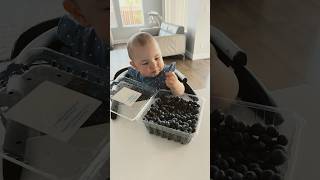 First time eating blueberries