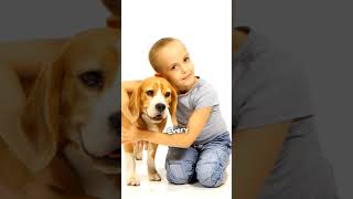 3 Kid Friendly Dog Breeds