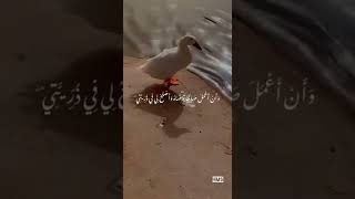 قال رب أوزعني ان أشكر نعمتك