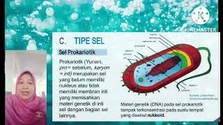 Nur Eka Susilawati_SMAN 1 Cicalengka_Materi Sel kelas 11