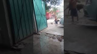 Mi chaparro barriendo la calle