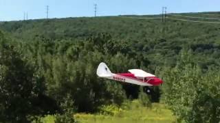 ParkZone Sport Cub BNF - Pilot: Bob Swika