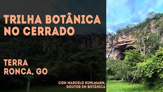 Trilha Botânica no Cerrado – Terra Ronca, São Domingos, GO