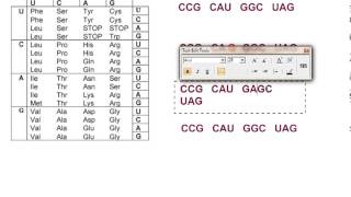 Mutations explanation and exercise