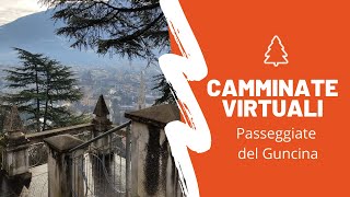 Camminate Virtuali - Passeggiate del Guncina (Bolzano-Bozen)