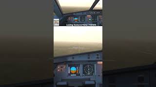 Landing at Soekarno Hatta Tangerang Jakarta [MSFS]