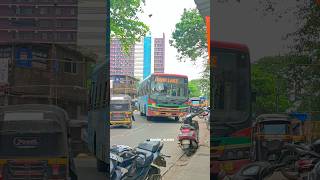 BEST TATA MARCPOLO BS6 MUT Bus #shorts #bestbus #mumbaibestbuses #mumbai #ytshorts #busspotting