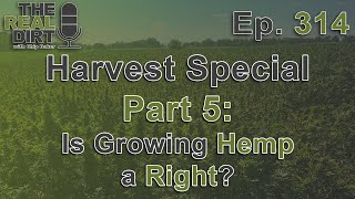 Is Growing Hemp Constitutional in Colorado? [Harvest Special Pt. 5]