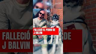 Falleció Enzo, el perro de J Balvin que lo acompañó por 14 años