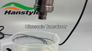 Ultrasonic Transducer