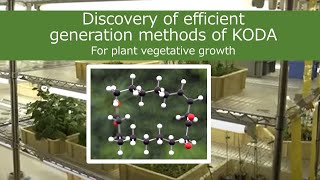 KODA to augment plant growth – Tokyo Tech Research