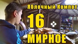 Мирное 16 - Яблочный Компот