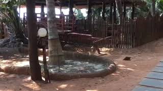 Beach Side Cottage |  Ayurveda Treatment | Ayurveda Yoga Village, Kumta