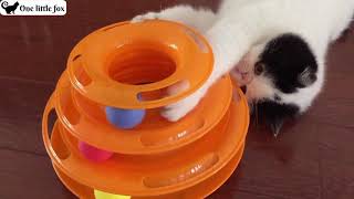 CAT FUN™ - JOUET INTERACTIF SPIRALE POUR CHAT