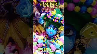 অপূর্ব  সুন্দর দামোদর গোপাল দর্শন করুন || Caitanya Sandesh