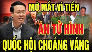 Tin tức Việt Nam mới nhất ngày 26/11/2024/ Tin Nóng Chính Trị Việt Nam và Thế Giới/#cuocsongquanhta