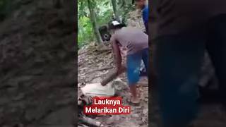 Lauknya Melarikan Diri#guyonan #lucu #lucungakak #lucuabis #anjing#shorts #feed #short