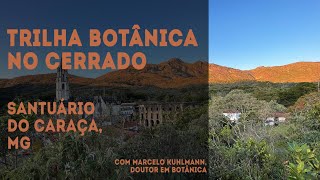 Trilha Botânica no Cerrado – Serra do Caraça, MG