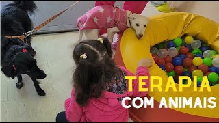 Como os pets ajudam nas terapias infantis