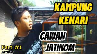 MAIN KE PETERNAK KENARI | CAWAN KAMPUNG KENARI | PART 1