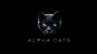 Alpha Cats - Driven by Fate