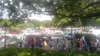 Cafe Du Monde Line