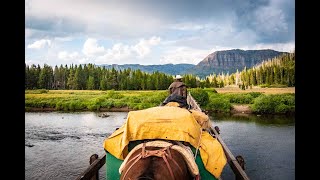 Bridger Teton NF, Teton Wilderness Day 4, horse pack-trip 2020