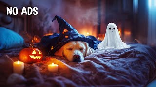 12-часовая успокаивающая музыка для собак🐶💖Снятие стресса для собак🎃Уютная осенняя атмосфера | Тр