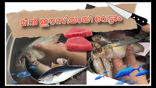 ചാളയും അയലയും വെട്ടാൻ പഠിക്കാം 🥰🥰🥰🥰|How to cut and clean fish easy way