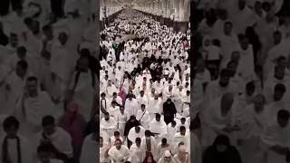 Makkah Safa Marwa Live🔴🕋 #shorts #umrah #hajj