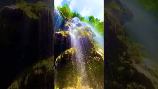 Beautiful waterfall#shorts  #youtubeshorts #viral #viralvideo