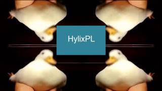 Intro HylixPL