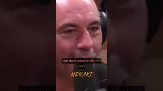 Joe Rogan on Cheetahs #joerogan #shorts #nature