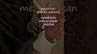 manfaat beras merah #diet #health #short #shorts #viral