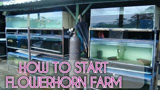 How to start flowerhorn farm in tamil - ஃப்ளவர்ஹார்ன் மீன் பண்ணை தொடங்குவது எப்படி தமிழில்