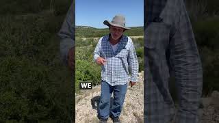 Finding Groundwater Before an Expensive Drill | Well Water Finders