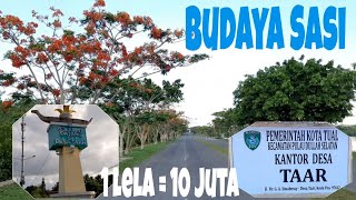 DESA TAAR, KOTA TUAL || BUDAYA SASI