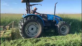 Aries II (Panicum maximum cv. Aries II) Dryland - Cutting and Hay-making April 2021