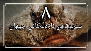 ٨ سەیرترین ئاژەڵەکانی جیهان