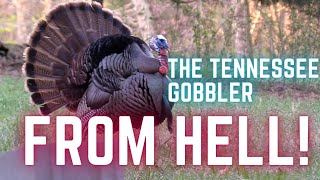 BOWHUNTING GOBBLERS  (THIS TURKEY WOULD NOT STAY DOWN!)