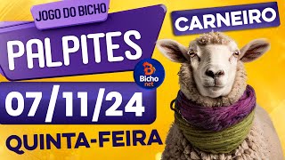 PALPITE DO DIA 07/11/2024 - JOGO DO BICHO 🍀 TODAS AS LOTERIAS 🍀