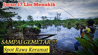 Spot Rawa Keramat Full Strike || Casting Gabus Full Strike