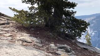 View from hike to Sentinel Dome, Yosemite