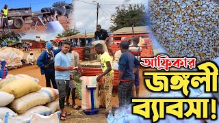 আফ্রিকায় বাংলাদেশিদের জঙ্গলের ব্যাবসা! মৌসুমি ভুট্টা! Maize Business in African Villages