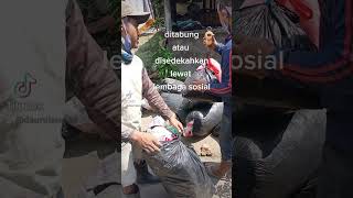 siapa peduli #olahsampah