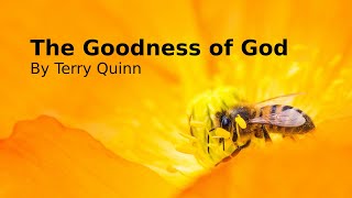 The Goodness of God By Terry Quinn