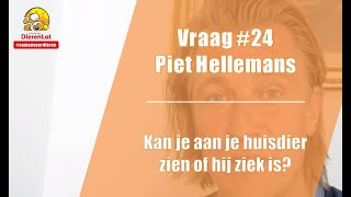 Vraag #24 DierenLot - Piet Hellemans - Kan je aan je huisdier zijn of hij ziek is?