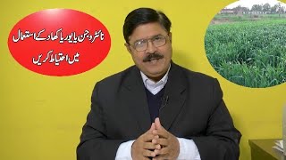 گندم کے کاشتکار متوجہ ہوں ، کھاد بارے اہم نکات ،انجم علی بٹر، punjab, agriculture, wheat