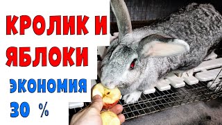 Яблоки кроликам / Экономия 30 %