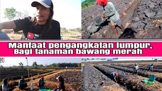 proses pengangkatan lumpur,untuk persiapan tanam bawang merah,di musim kemarau